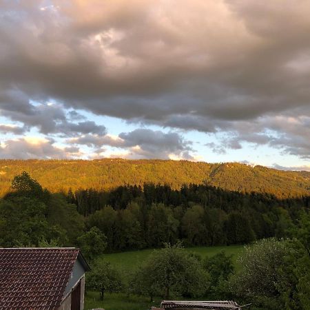 Ferienwohnung Samys Nahe Lindau Am Bodensee ジークマールシュツェル エクステリア 写真