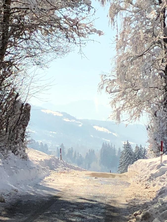 Ferienwohnung Samys Nahe Lindau Am Bodensee ジークマールシュツェル エクステリア 写真