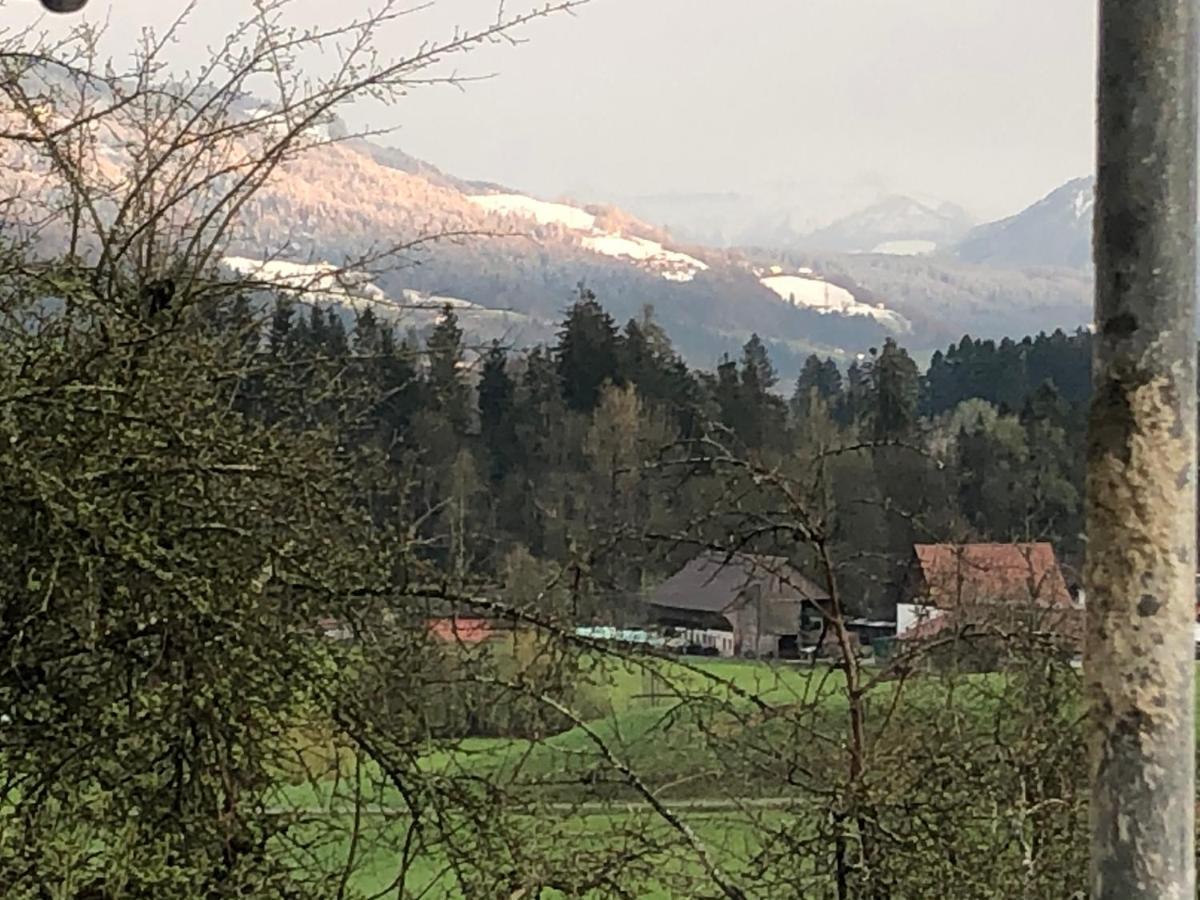 Ferienwohnung Samys Nahe Lindau Am Bodensee ジークマールシュツェル エクステリア 写真