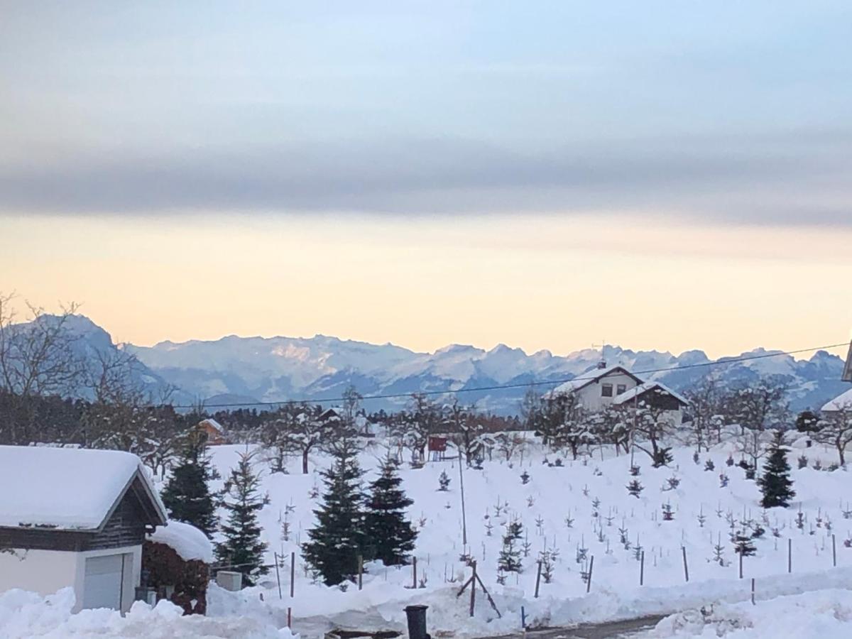 Ferienwohnung Samys Nahe Lindau Am Bodensee ジークマールシュツェル エクステリア 写真